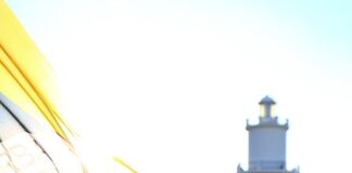 İspanyol basını: Fenerbahçe beklenen o transferi bitirdi .