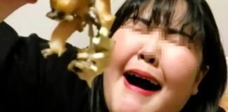 Canlı yayında yediği aşırı yemeklerle ünlenen fenomen, canlı yayında yemek yerken öldü!