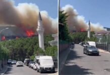 İstanbul’daki Aydos Ormanı’nda yangın! Alevler yerleşim yerlerine doğru ilerliyor