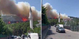 İstanbul’daki Aydos Ormanı’nda yangın! Alevler yerleşim yerlerine doğru ilerliyor
