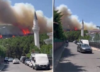İstanbul’daki Aydos Ormanı’nda yangın! Alevler yerleşim yerlerine doğru ilerliyor