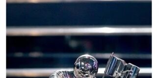 29 sanatçının ilk kez aday gösterildiği MTV Müzik Ödülleri adayları belli oldu