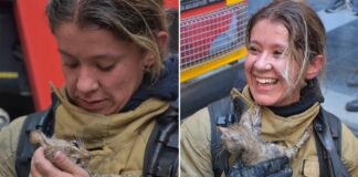 📽️Yangından etkilenen kediyi kendi solunum cihazıyla hayata döndürdü.