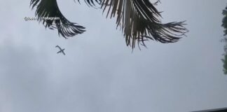 📽️Brezilya’daki kazada uçak düşerken cep telefonlarıyla videoları çekildi