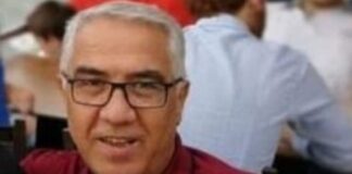 Manisa Salihli’de yavru kedileri sopayla öldüren şahıs tutuklandı