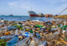 ODTÜ: “Marmara komada; azot, fosfor kirliliği artarak devam ediyor”