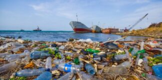 ODTÜ: “Marmara komada; azot, fosfor kirliliği artarak devam ediyor”