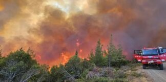 Çanakkale’de orman yangını! 57. Alay Şehitliği ile Conkbayırı ziyarete kapatıldı