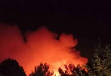 İzmir Yamanlar Dağı: Orman yangını büyüyor. Bayraklı Belediye Başkanı: Acilen bölgeyi boşaltın