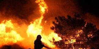 Ege Yanıyor! Urla’da Urla’da 440 konutluk site tahliye edildi. Bolu’da da yangın!