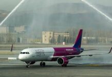 Pilot bayıldı, uçak acil iniş yaptı!