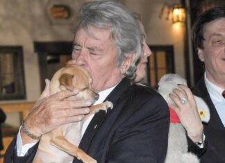 Alain Delon’un ailesi aktörün köpeğini öldürmeyecek