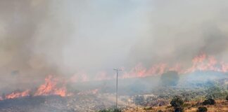 İzmir Deliömerler’de orman yangını yeniden başladı.