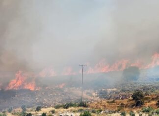 İzmir Deliömerler’de orman yangını yeniden başladı.