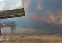 Ankara Kızılcahamam’da otluk alanda başlayan yangın Bolu Gerede’de ormanlık alana sıçradı.