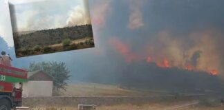 Ankara Kızılcahamam’da otluk alanda başlayan yangın Bolu Gerede’de ormanlık alana sıçradı.