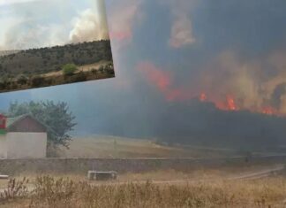 Ankara Kızılcahamam’da otluk alanda başlayan yangın Bolu Gerede’de ormanlık alana sıçradı.