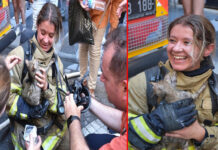 Kahraman kadın itfaiyeci, kendi oksijen cihazını kediye takarak hayatını kurtardı