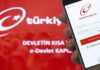 E-devlet üzerinden yapılan bazı sorgulamalar ücretli oluyor