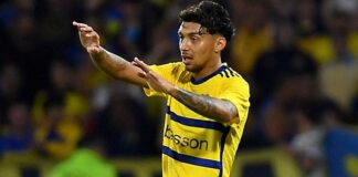 Cristian Medina, Fenerbahçe’de