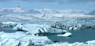 Kuzey Buz Denizi’nde, yeni antibiyotiklere kaynaklık edebilecek mikroplar bulundu.