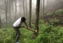 Hopa’da mesire alanı projesine karşı çıkan vatandaşlara, ormanlık alanda ateş açıldı. 1 kişi hayatını kaybetti