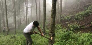 Hopa’da mesire alanı projesine karşı çıkan vatandaşlara, ormanlık alanda ateş açıldı. 1 kişi hayatını kaybetti