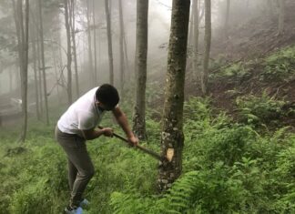 Hopa’da mesire alanı projesine karşı çıkan vatandaşlara, ormanlık alanda ateş açıldı. 1 kişi hayatını kaybetti