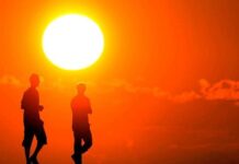 AB: “2024 yazı dünya genelinde ‘en sıcak yaz’ olarak kayıtlara geçti. Daha yıkıcı sonuçlar doğacak”