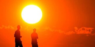 AB: “2024 yazı dünya genelinde ‘en sıcak yaz’ olarak kayıtlara geçti. Daha yıkıcı sonuçlar doğacak”