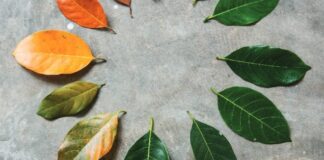 Yakın gelecekte hızlı hava değişimi 1,5 milyar insanı etkileyecek.