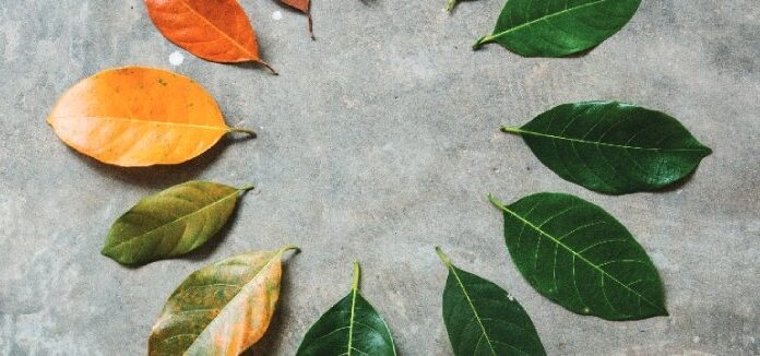 Yakın gelecekte hızlı hava değişimi 1,5 milyar insanı etkileyecek.