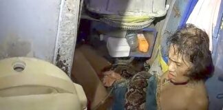 📽️ Dev piton, kadını mutfağında yakaladı ve iki saat boyunca sıktı!