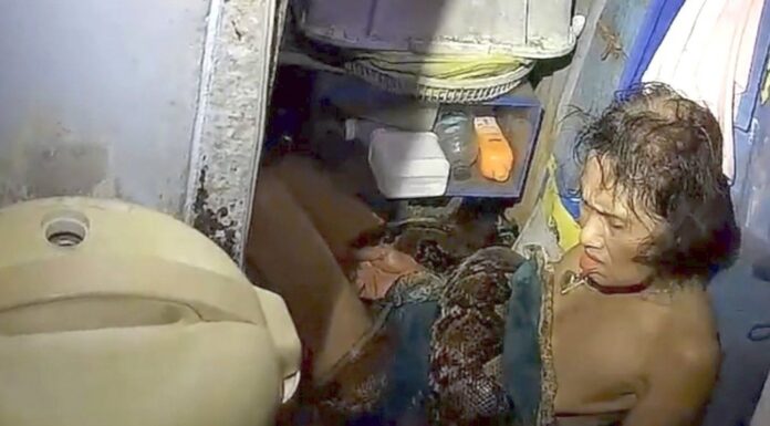 📽️ Dev piton, kadını mutfağında yakaladı ve iki saat boyunca sıktı!