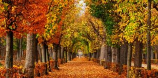 Bugün Ekinoks… Sonbaharın ilk günü… Bugün, gündüz ve gece eşit… .