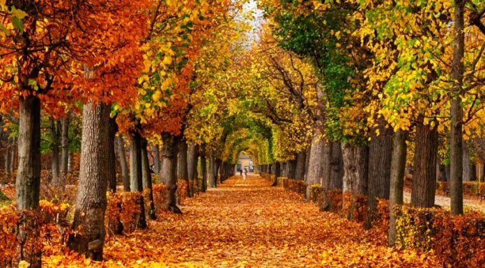 Bugün Ekinoks… Sonbaharın ilk günü… Bugün, gündüz ve gece eşit… .