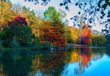 İstanbul’da bir gün sonbahar bir gün yaz yaşanacak!