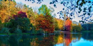 İstanbul’da bir gün sonbahar bir gün yaz yaşanacak!