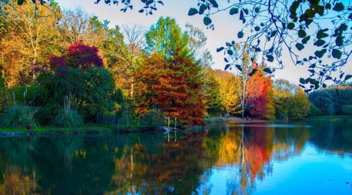 İstanbul’da bir gün sonbahar bir gün yaz yaşanacak!