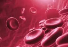 İnsanoğlunun artık yeni bir hücresi var: “EndoMac progenitör hücreleri”