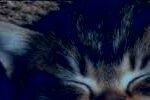 cropped-gd-1.jpg