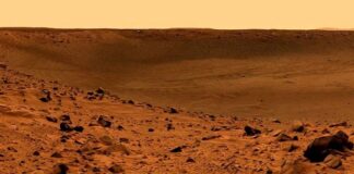 Bilim/Mars’ta hayatta kalabilen bitki keşfedildi