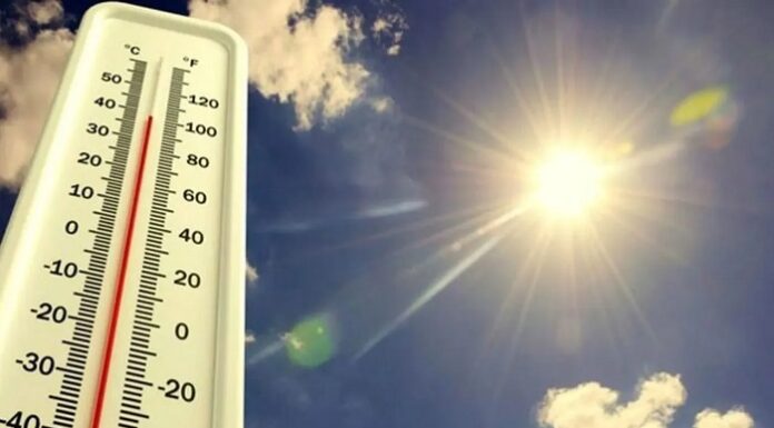 2024, son 53 yılın en sıcak yılı oldu