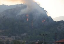 Muğla, Antalya, İzmir… Cayır cayır yanıyoruz!