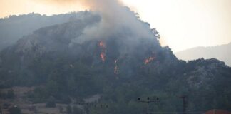 Muğla, Antalya, İzmir… Cayır cayır yanıyoruz!