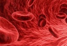 Bilimsel Araştırma/Yeni kan grubu keşfedildi