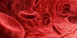 Bilimsel Araştırma/Yeni kan grubu keşfedildi