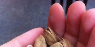 Araştırma : Günde 2 Avuç Antep Fıstığı Yaşlılıkta Körlüğü Önlemeye Yardımcı Oluyor.