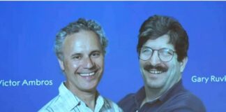 2 bilim insanı ‘mikroRNA’ları keşfettikleri için tıp dalında Nobel Ödülü’nü kazandı