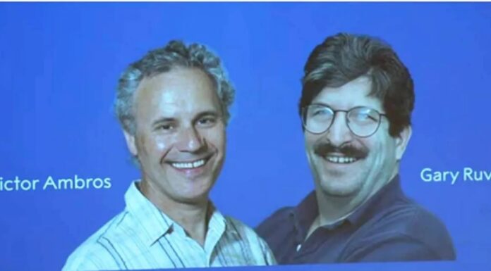 2 bilim insanı ‘mikroRNA’ları keşfettikleri için tıp dalında Nobel Ödülü’nü kazandı